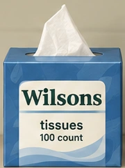 Fictional Wilsons tissues 100 count